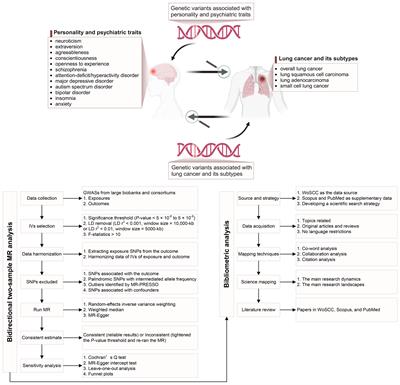 Causal effects between personality and psychiatric traits and lung cancer: a bidirectional two-sample Mendelian randomization and bibliometric study